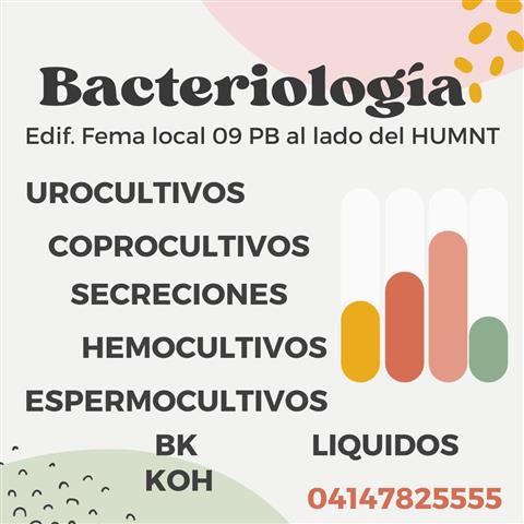 Bacteriología image 4
