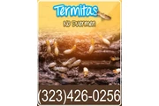 FUMIGACIONES TERMITAS 24/7 thumbnail