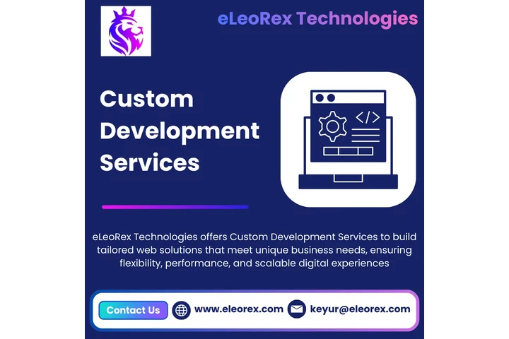 Custom Development Services image 1