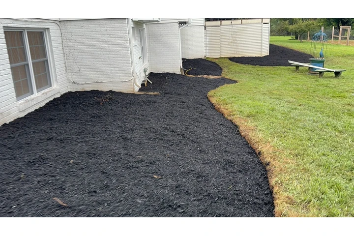 Landscaping Services en MD image 4