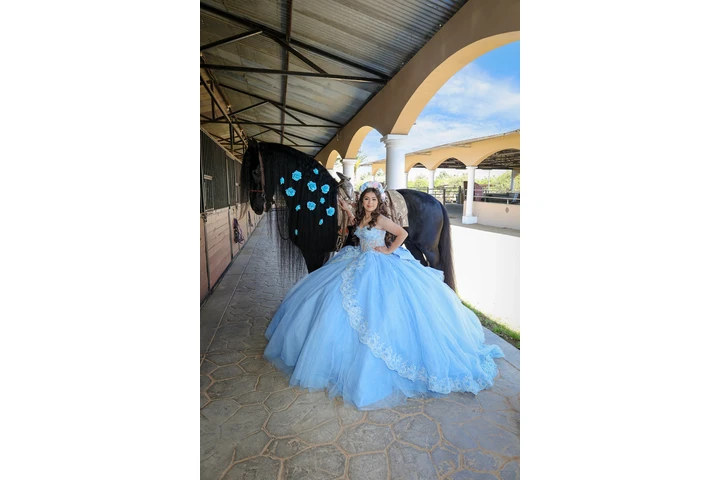 Magic studio foto y video image 6