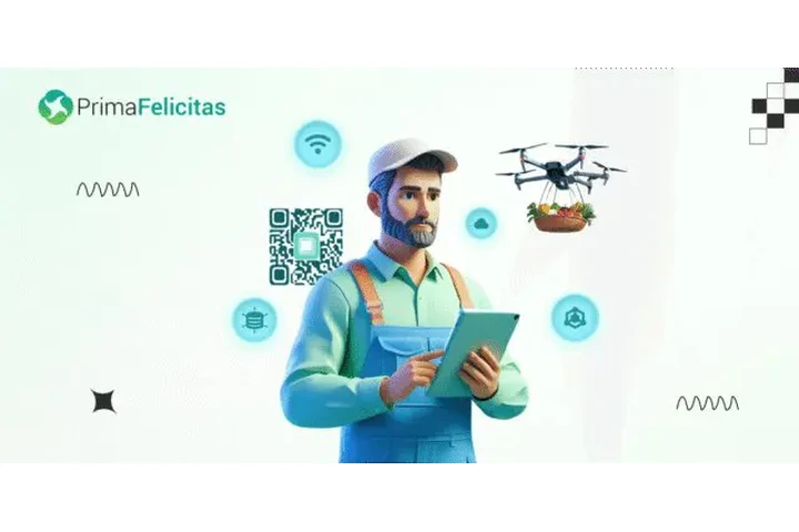 Expert Blockchain Consulting C image 2