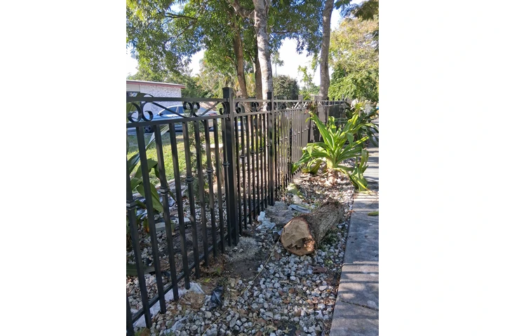 Fences ornamentales image 6