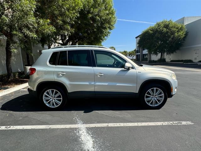 2010 Tiguan WOLFSBURG EDITION image 8