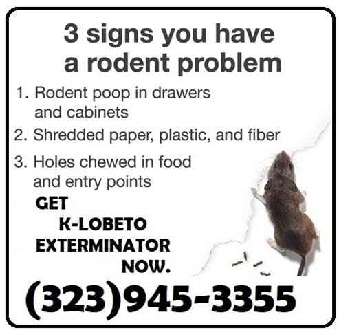 RODENTS CONTROL & REPAIRS 24/7 image 1