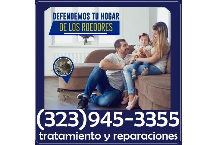 PEST CONTROL NEAR ME 24/7.- image 5