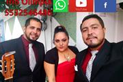 servicios musicales cdmx trios en Mexico DF