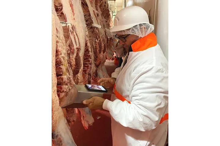 Control de Calidad image 3