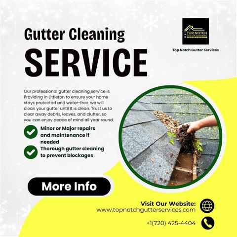 Quality Gutter Cleaning image 1