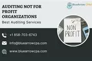 Auditing for not for profits en San Diego