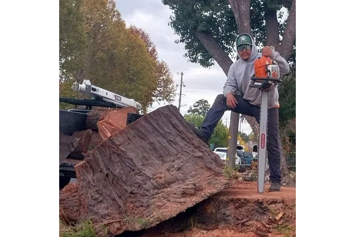 4 Winds Tree Service image 4