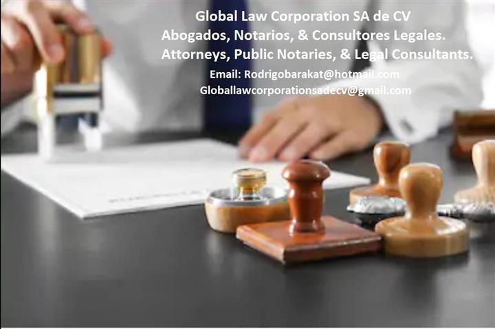 Global Law Corporation SA.deCV image 2