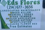 Ed’s Flores Landscaping thumbnail