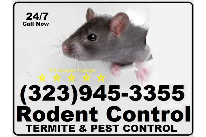 24/7 Rodent's Control-Repairs. image 9
