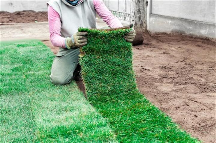 Synthetic Turf Installation image 1