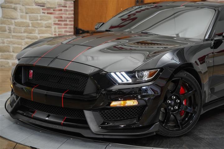 2019 Mustang Shelby GT350R Co image 5