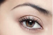Nano Brows Vancouver : Natural en Washington DC