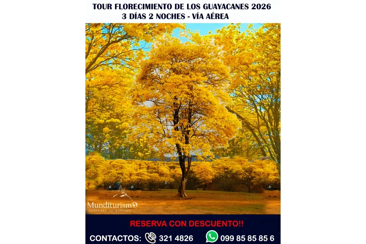 TOUR FLORECIMIENTO DE LOS GUAY image 1