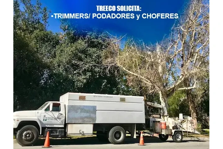🌳TRIMMERS/PODADORES📍La Habra image 1