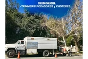 🌳TRIMMERS/PODADORES📍La Habra en Orange County