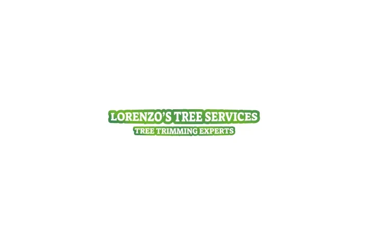 Lorenzo's Tree Services image 1