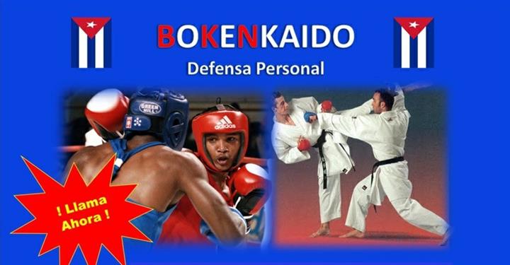 Boxeo y karate como defensa image 2