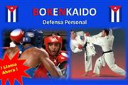 Boxeo y karate como defensa thumbnail