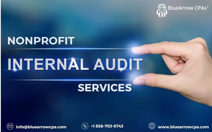 Nonprofit internal audit image 1