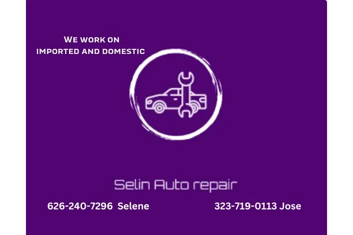 Selin Auto Repair image 1
