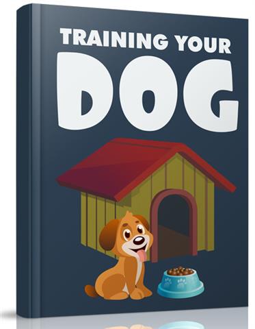 Training your DOG image 1