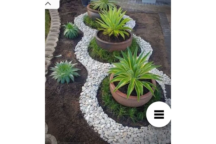Servicios de Jardineria image 8
