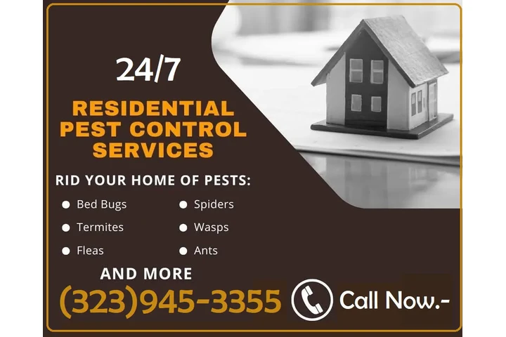 PEST CONTROL SERVICES L.A.- image 3