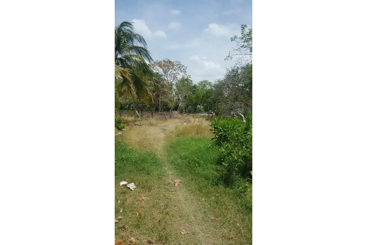 $595000 : VENTA D TERRENO MECAYUCAN VER. image 4