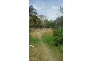 $595000 : VENTA D TERRENO MECAYUCAN VER. thumbnail