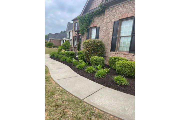 🌵MATÍAS LAWN SERVICES🌵 image 4