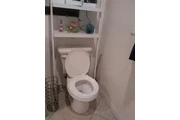 FONTANERO DISPONIBLE/DRENAJES en Los Angeles