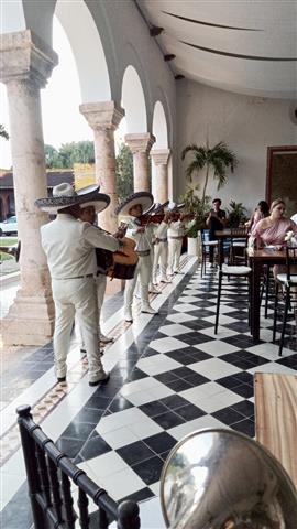 MARIACHI EN MÉRIDA YUCATAN image 10