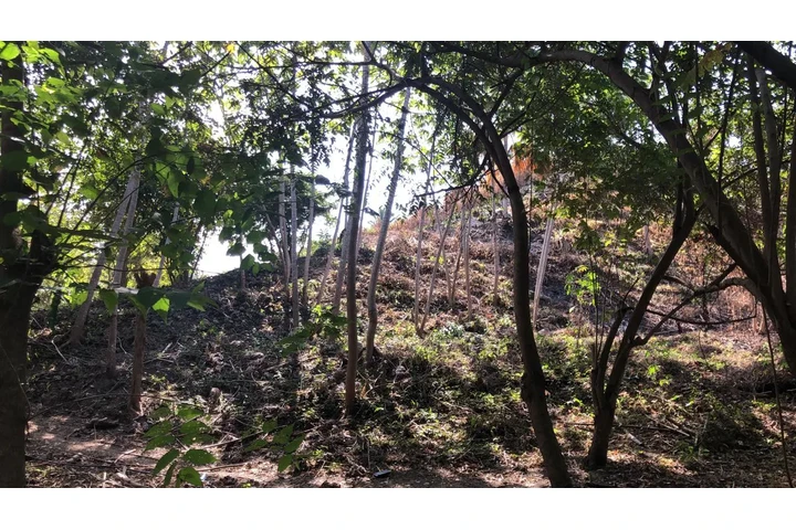 $550000000 : Terreno en venta Santa Marta image 8