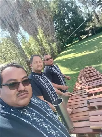 MARIMBA 2 HORAS X $2,600 image 2