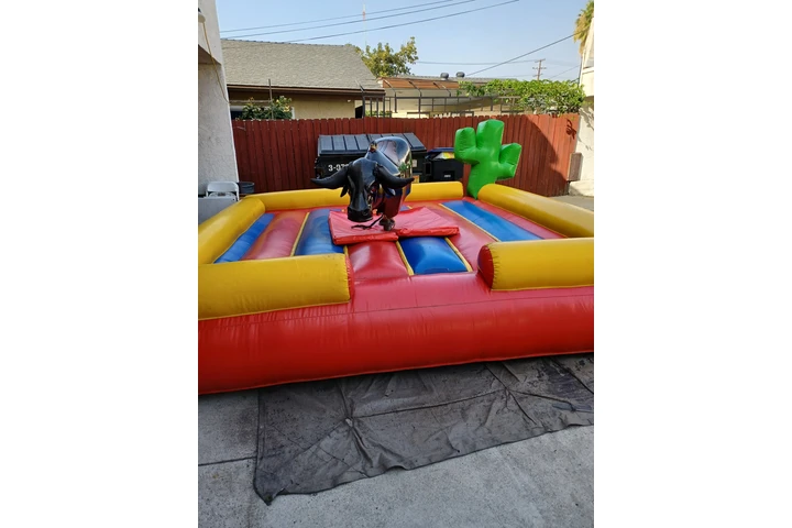 TOROS*WATER SLIDES*CARPAS image 3