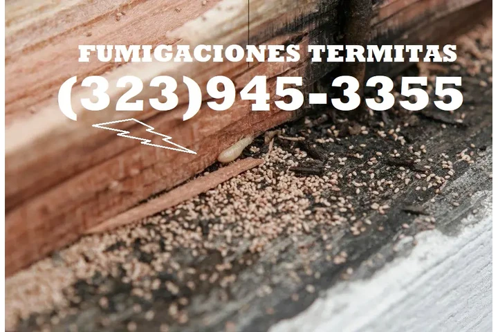 FUMIGATION SHEDULE INSPECTION image 4