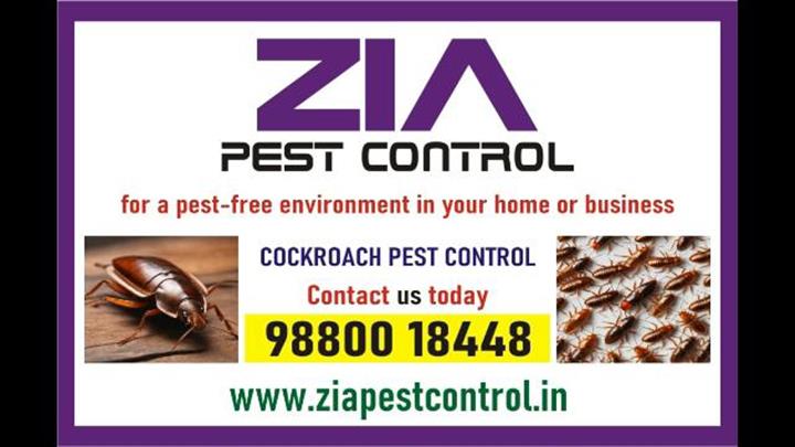 Cockroach Treatment | Zia Pest image 1