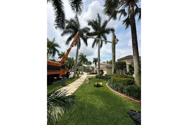 Perfect Trees Services Corp image 2