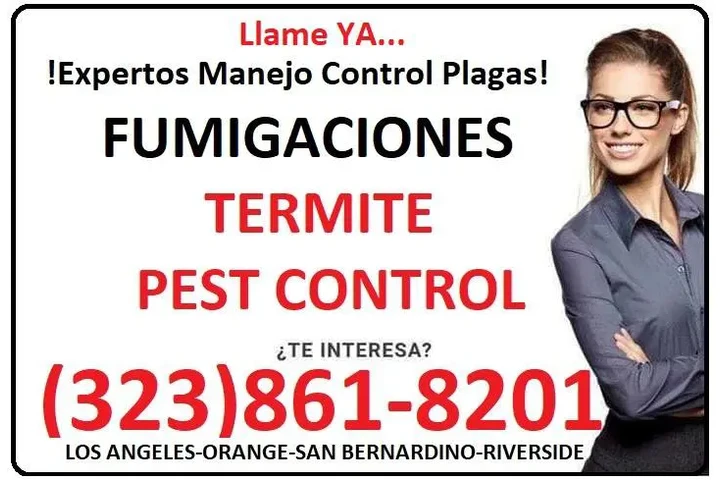 Fumigaciones East Los Angeles. image 5