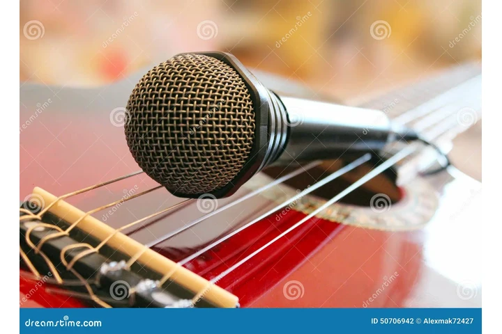 Musica bohemia para eventos image 2