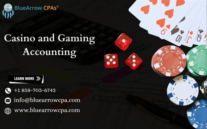 Casino and Gaming Accounting image 1