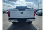 $32998 : Ford F-150 2021 4x4 XL 4dr S thumbnail