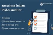 American Indian Tribes Auditor