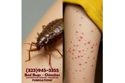 Bed Bugs-Chinches Fumigaciónes thumbnail