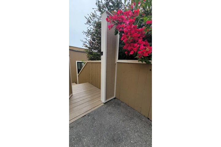 JIMMY EL GENIO image 7